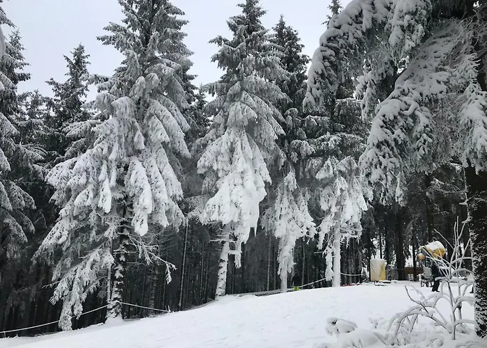 Relax 2 * 戈斯拉尔